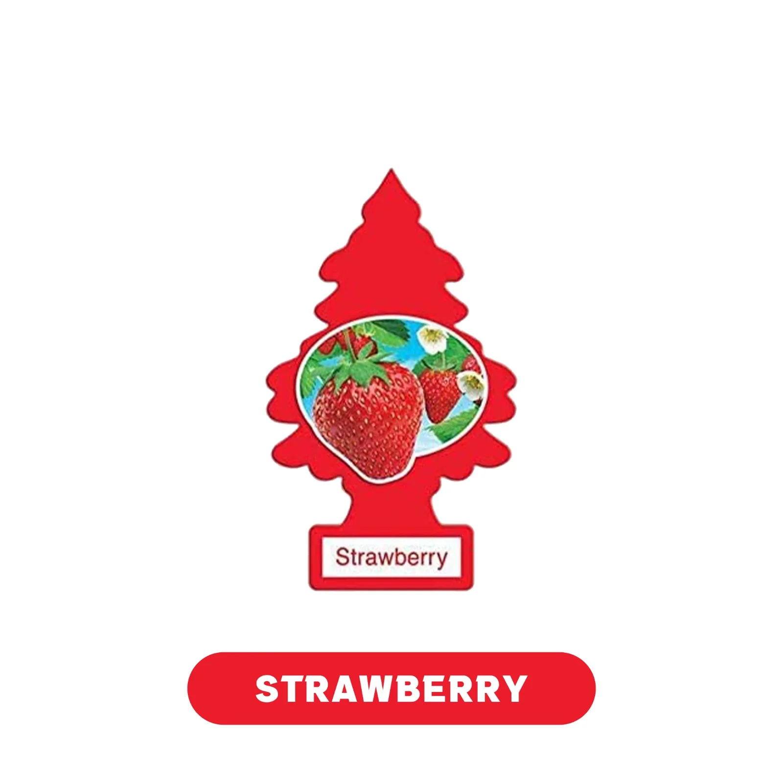 Little Tree Air Fresheners 1pk- 24ct - Image 6